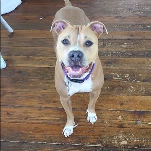 Meet your Posher, Kirsten